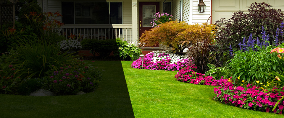 Hamptonville Landscapers