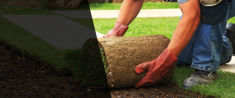 Hamptonville Landscapers